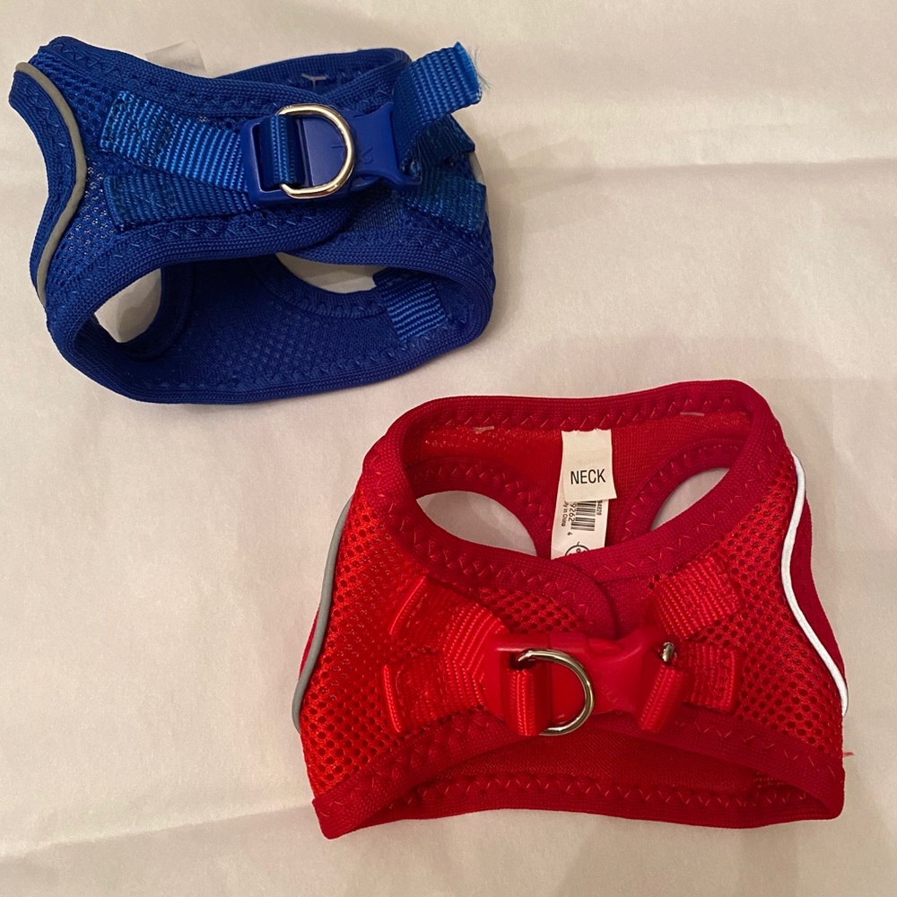 Blue Cat Harness